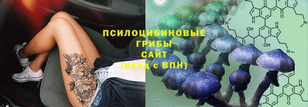 гидропоника Медногорск