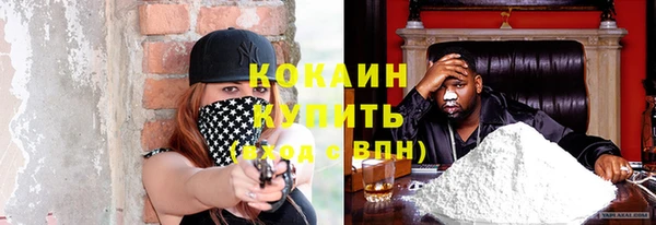 гидропоника Медногорск